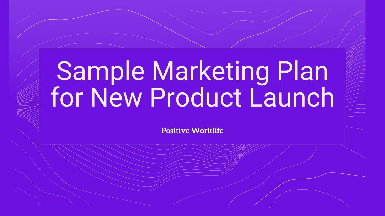 Sample Marketing Plan for New Product Launch